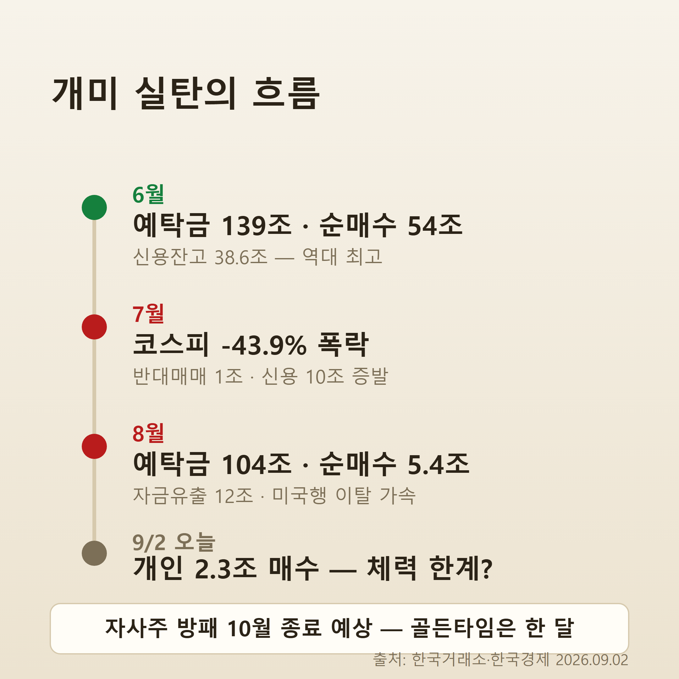 개인 투자자 실탄 변화 타임라인 인포그래픽